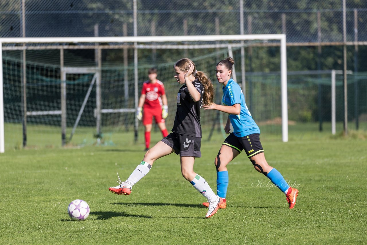 Bild 156 - wBJ SV Henstedt Ulzburg - FSG Oldendorf Itzehoe : Ergebnis: 2:5